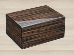 Guy Janot Humidor Makassar Glanz